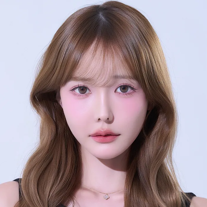 プレミアムプラン